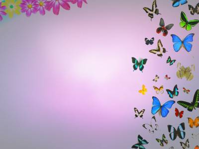 Butterflies And Flowers Background Thumbnail