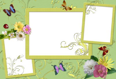 Charming Frames Butterfly Background Thumbnail