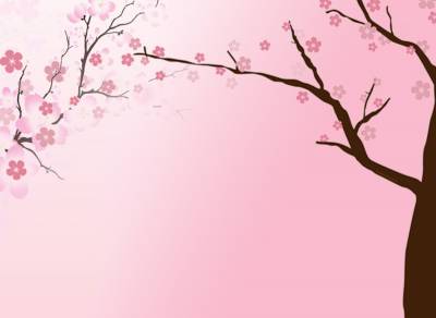 Cherry Blossom Background Thumbnail