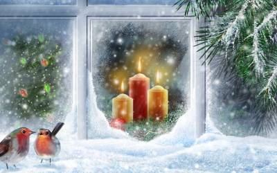 Christmas Candle Birds Snow Background Thumbnail