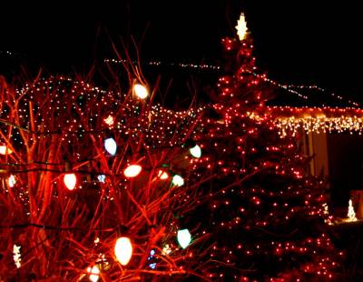 Christmas Lights With Tree