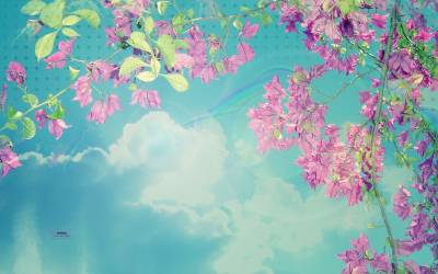 Clouds Flowers Spring Background Thumbnail