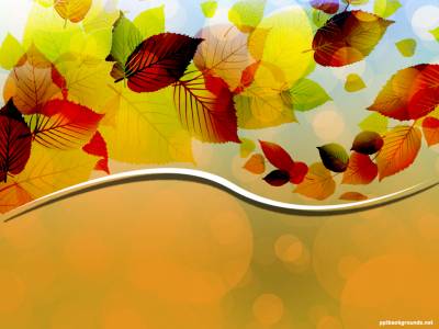 Creative Autumn Leaves Vector  Background Thumbnail