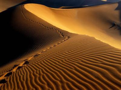 Footprints Namib Desert Namibia Africa Background Thumbnail