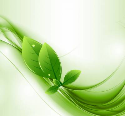 Green Eco Nature Wave Background