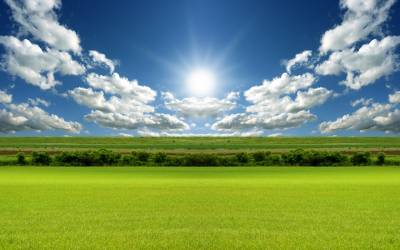 Green Grass, The Sun Shines Background