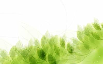 Green Leaves Pattern Background