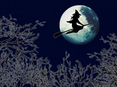 Halloween Witch Background Thumbnail