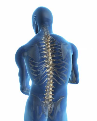 Human Back And Spine Background Thumbnail