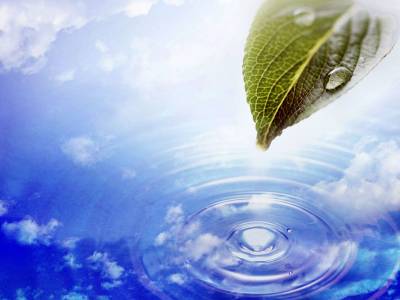 Leaf Water Sky Background Thumbnail