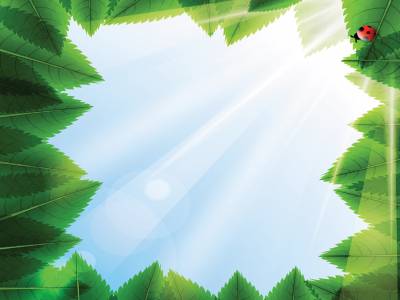 Nature Leaf Frame Design Background
