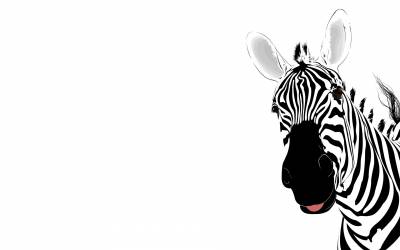 Zebra Animal Template Background Thumbnail