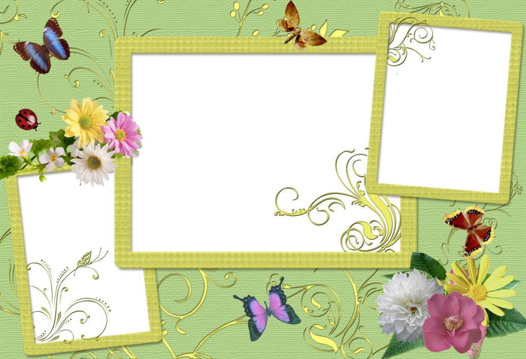Charming Frames Butterfly free powerpoint background