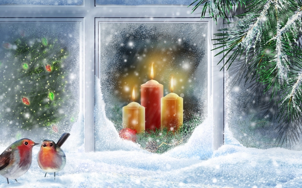 Christmas candle birds snow Background