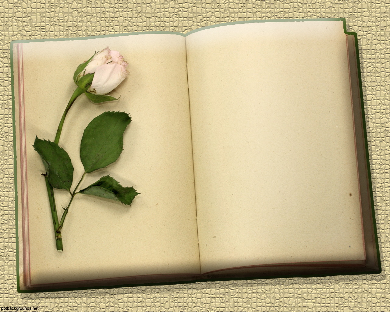 Flowers And Vintage Blank Books Background For Powerpoint Border And Frame Ppt Templates