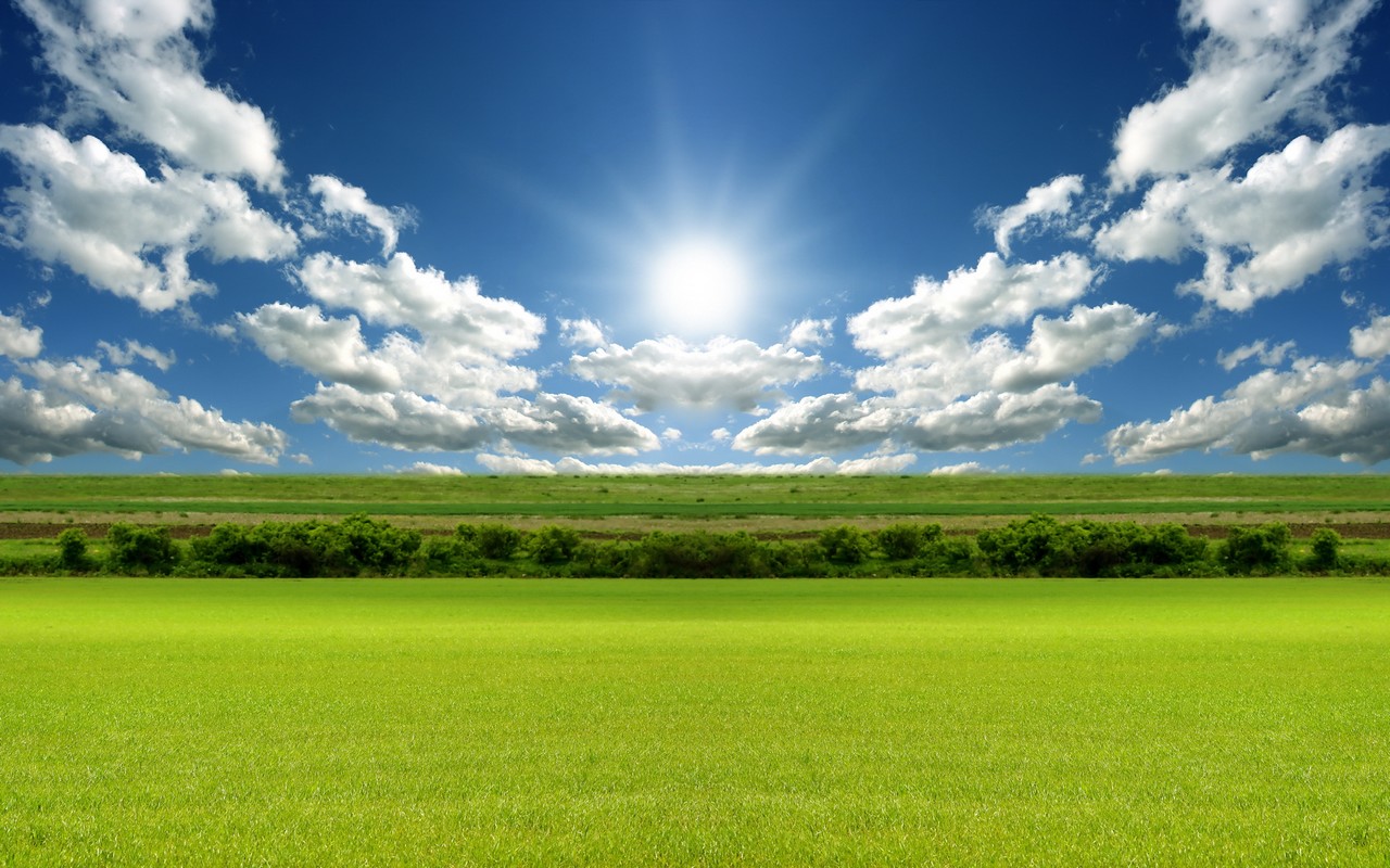 Green grass, the sun shines Background