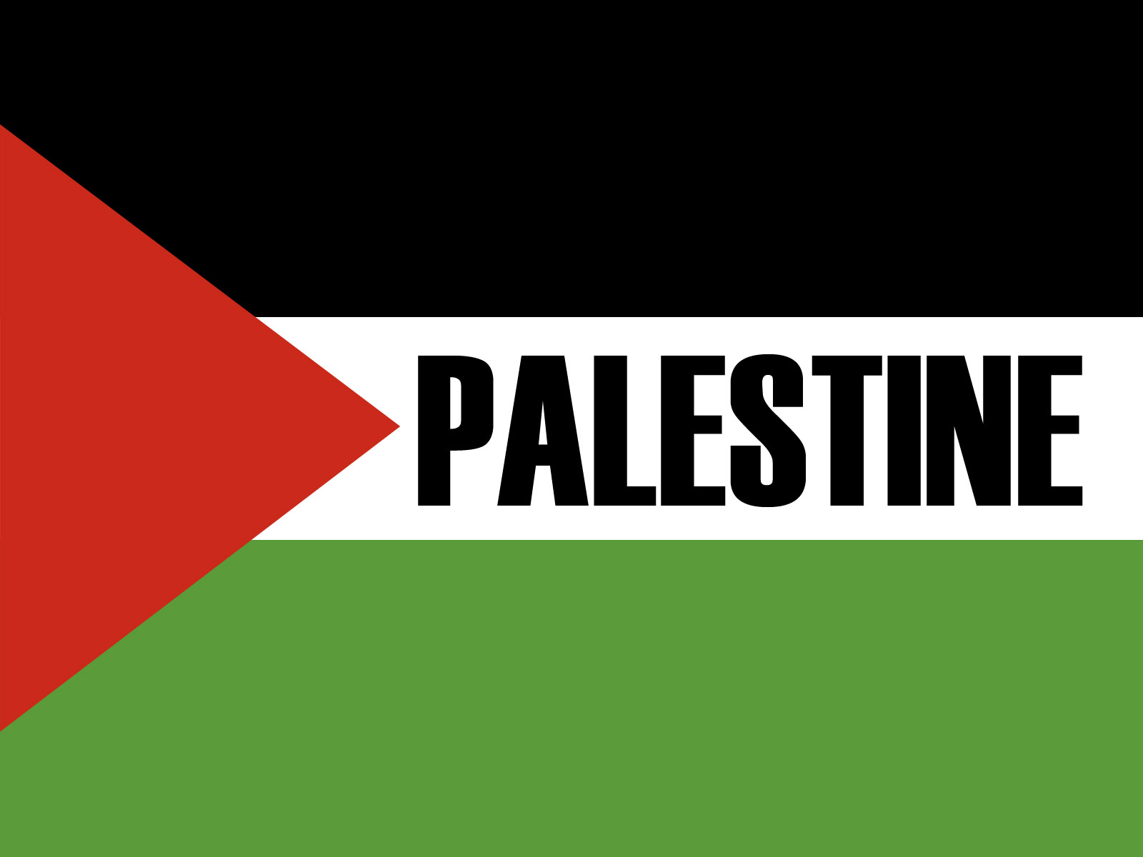 Palestine Flag Background