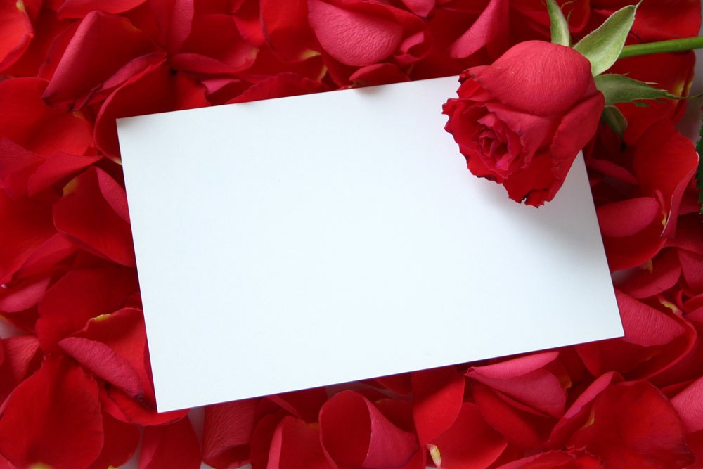 Red Rose Frame Mother Day Background For Powerpoint Border And Frame Ppt Templates