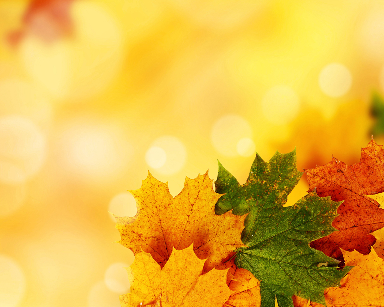 Yellow Autumn Background